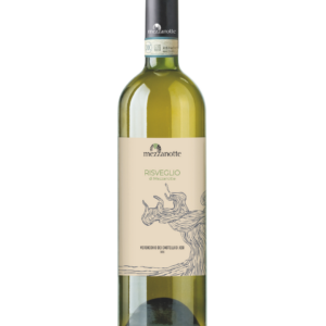 Cantina Mezzanotte–Risveglio- Verdicchio