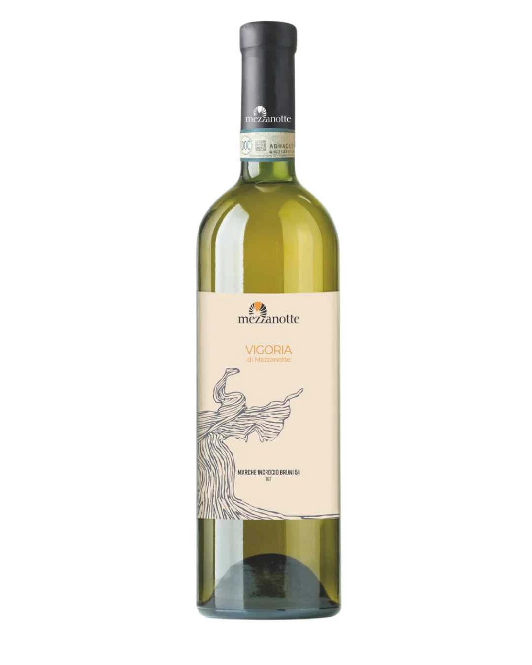 Cantina Mezzanotte Vigoria Incrocio